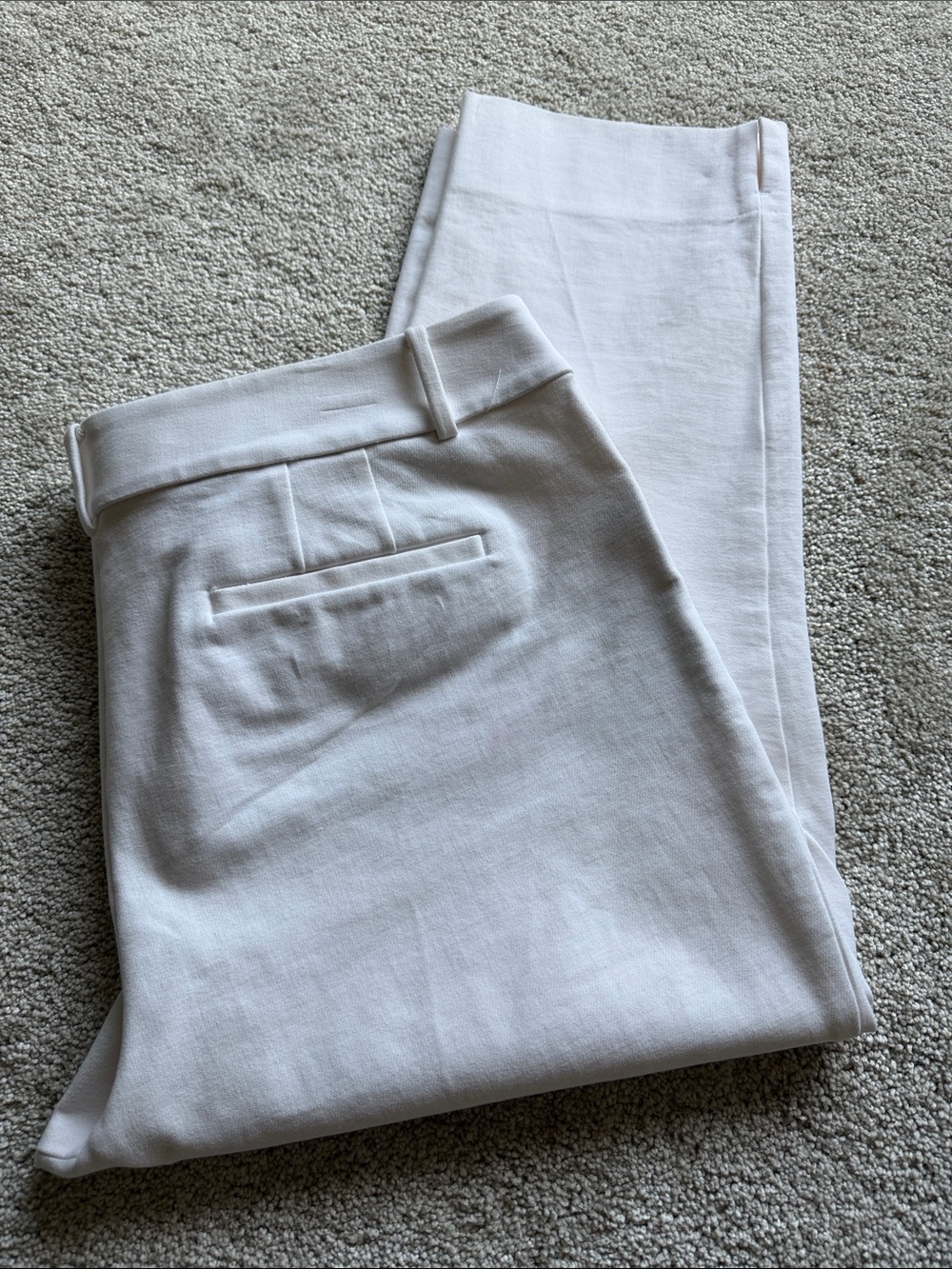 Loft pants